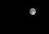 Img_1659__copy__small